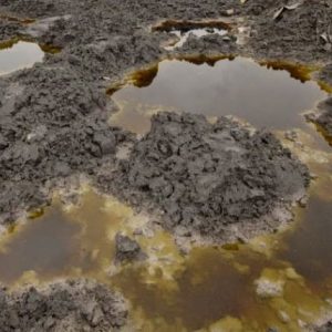 Contaminated soil
